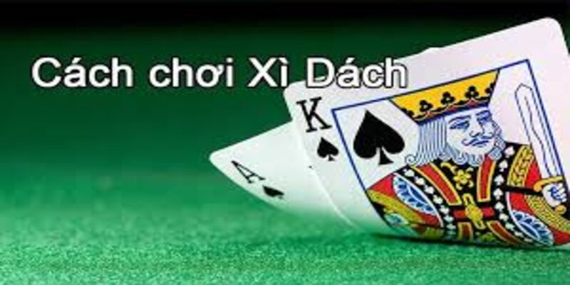 Cách chơi xì dách có hệ thống quy tắc khá dễ hiểu